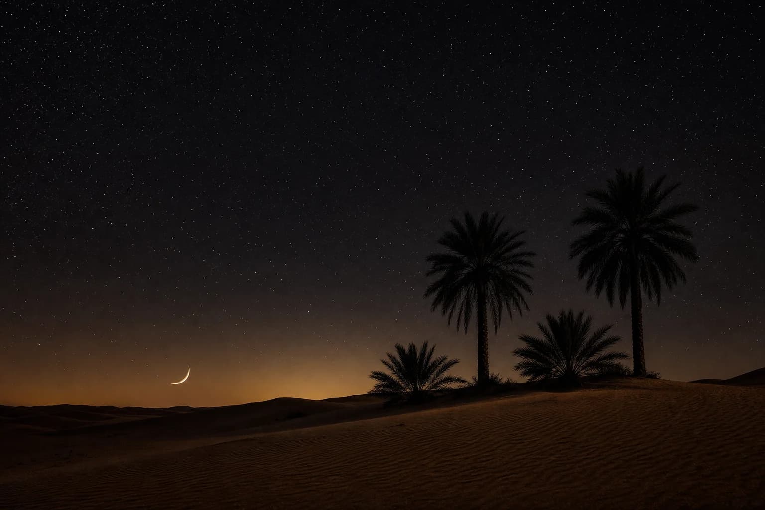 A thin crescent moon over desert palms at night